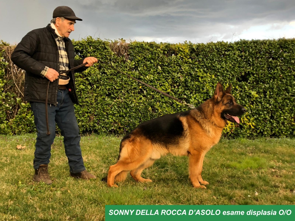 SONNY DELLA ROCCA D’ASOLO